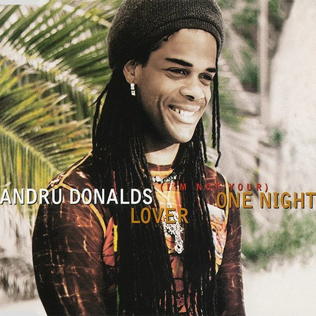 (I'm Not Your) One Night Lover cover art