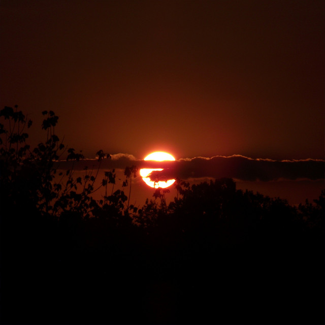 Rebecca Kruse Photo