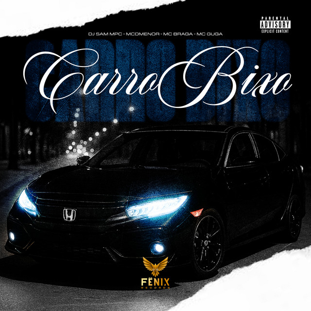 Carro Bixo
