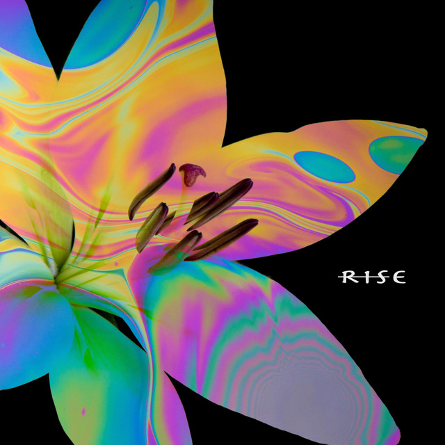 Rise cover art