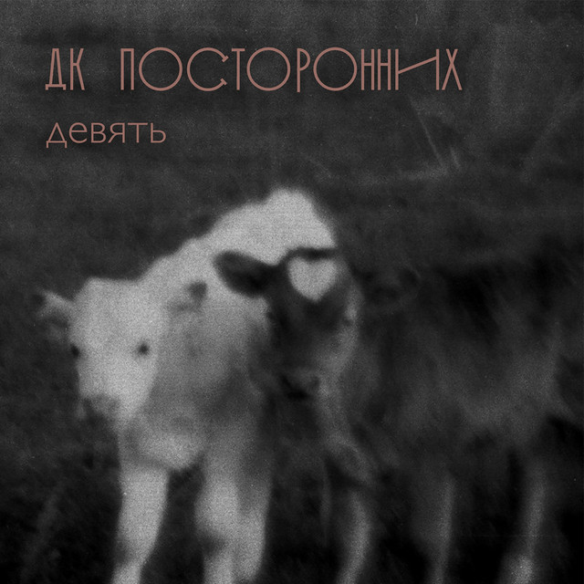 Девять cover art