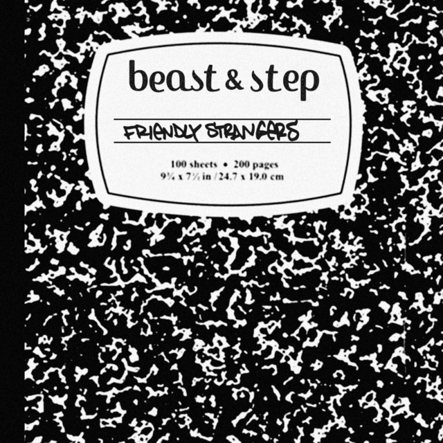 Friendly Strangers cover art