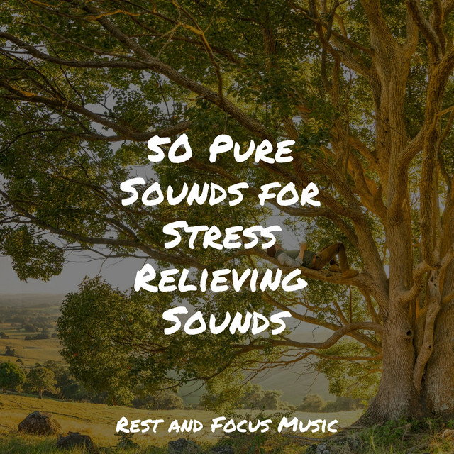 50 Pure Sounds for Stress Relieving Sounds - Album by White Noise Baby ...