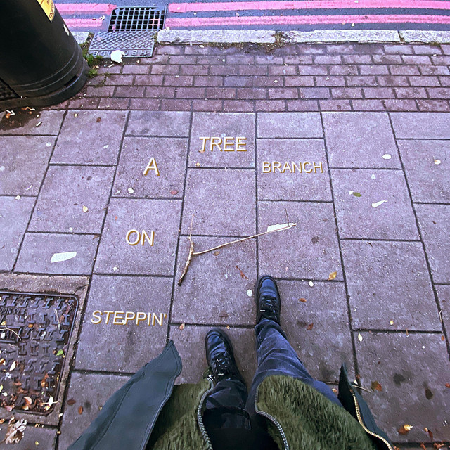 Capa de Steppin' on a Tree Branch - Titus Maz