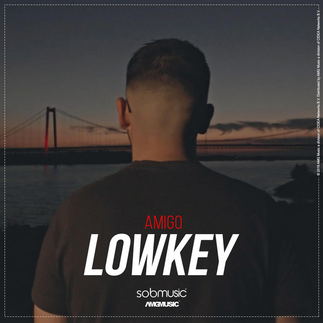 Lowkey cover art