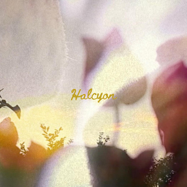 Halcyon