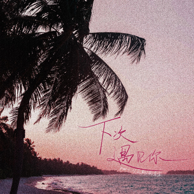 下次遇见你