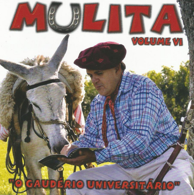 O Gaudério Universitário, Vol. VI cover art