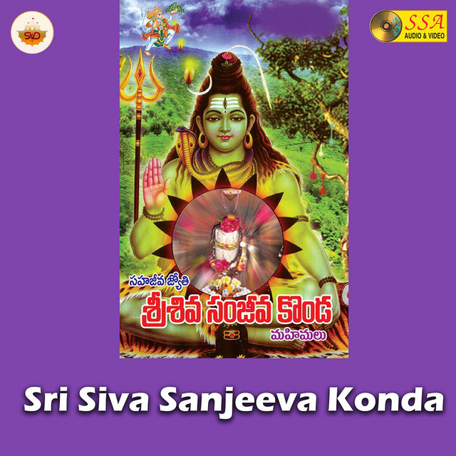 Amma Nenu Bothunna cover art