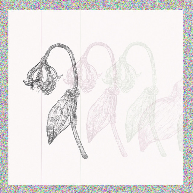 conflict cover art
