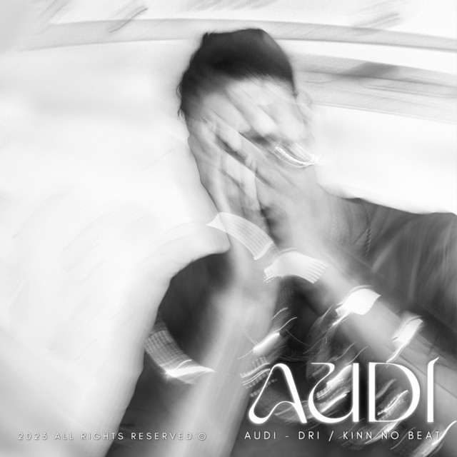 Audi - Single by Dri | Spotify