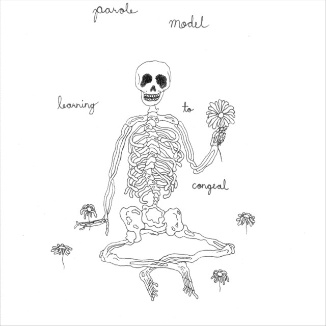 Learning to Congeal cover art