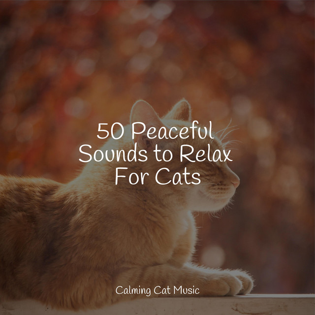 50 Peaceful Sounds to Relax For Cats - Album by Cat Music | Spotify