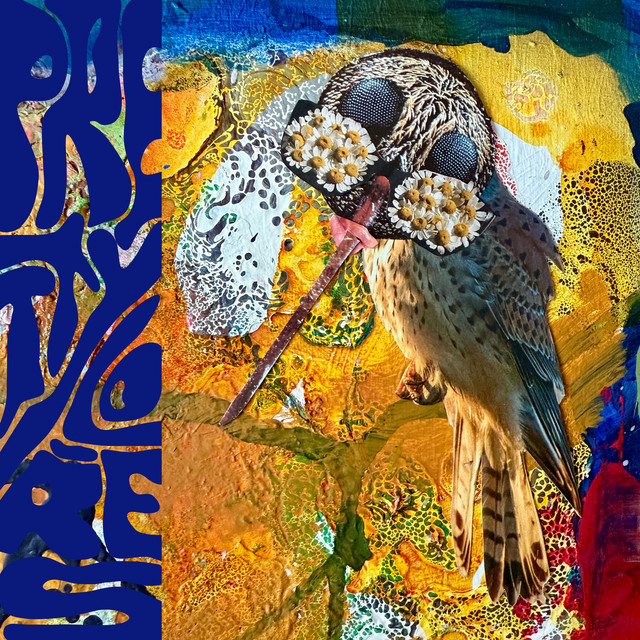 Wilderness Radio cover art