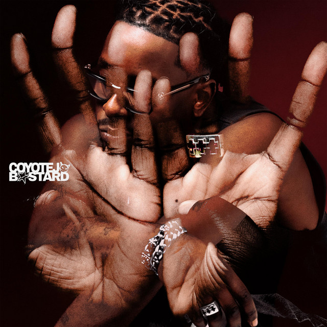 undefined album image