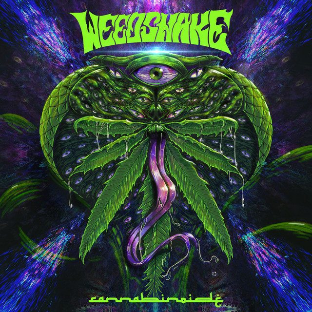 Weedsnake photo