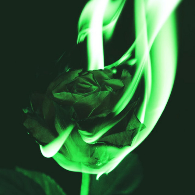 Prenderte cover art