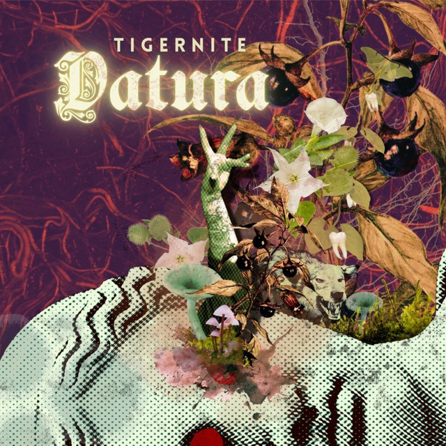 Datura cover