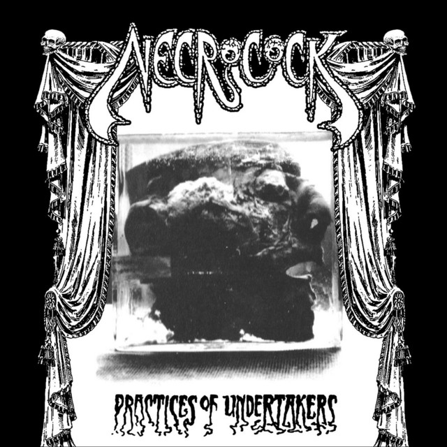 Practices of Undertakers cover