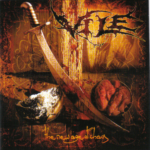 The New Age Of Chaos cover