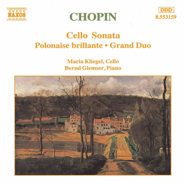 Cello Sonata in G Minor, Op. 65, B. 160: III. Largo