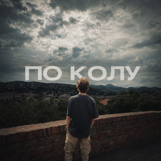 Обкладинка: По колу — ShadyKiss