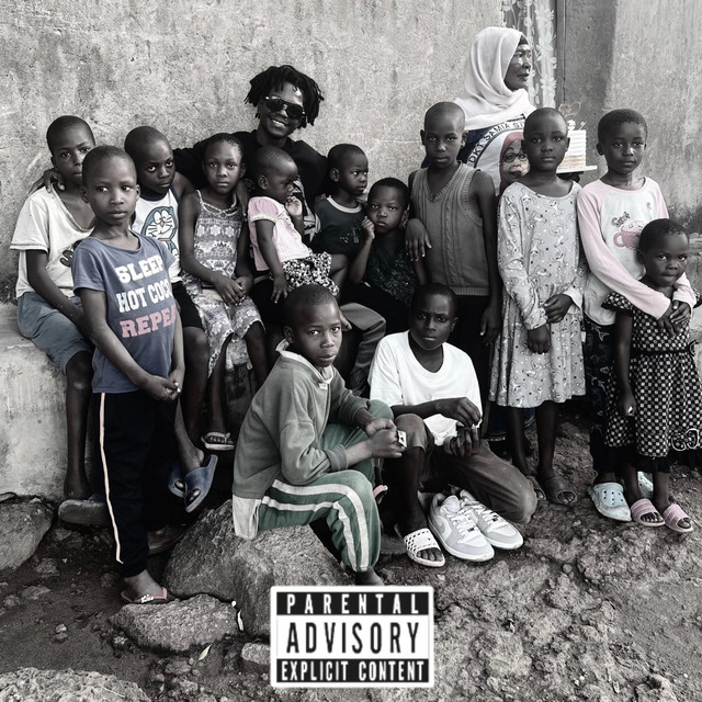 Usimuudhi Mwendawazimu album image