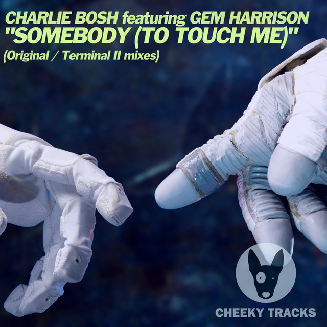 Somebody (To Touch Me) - Radio Edit