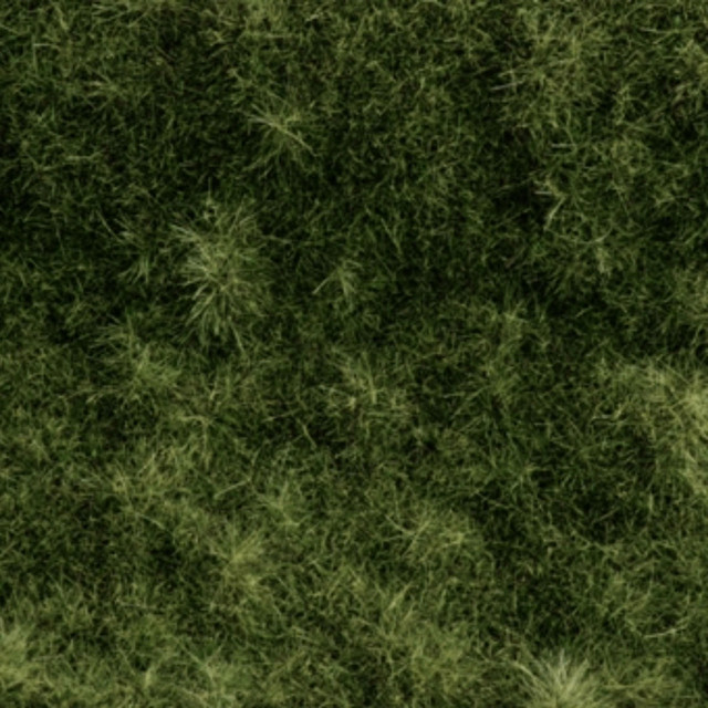 Touch Grass cover art