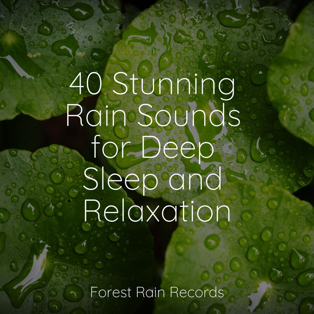 40 Stunning Rain Sounds for Deep Sleep and Relaxation - Album by Yoga ...