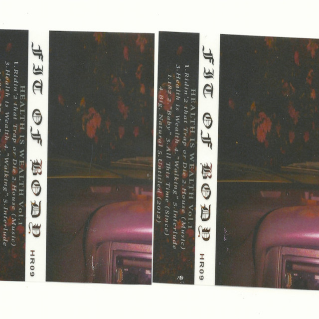 Health is Wealth Vol.1 cover art