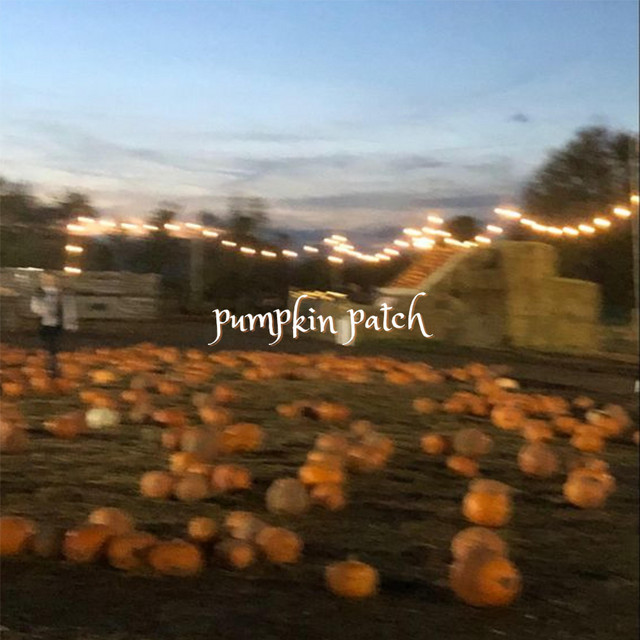 Pumpkin Patch cover art