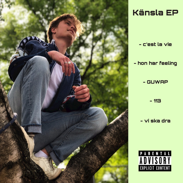 Känsla EP cover art