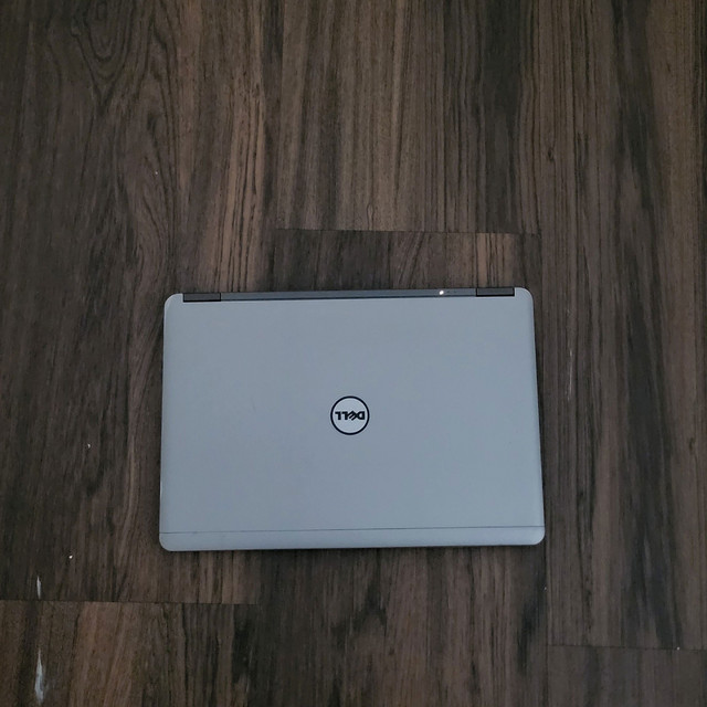 The Only Falls - Demo