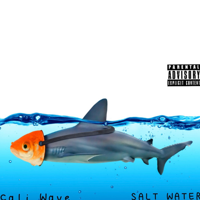 Salt Water - Album by Cali Wave | Spotify