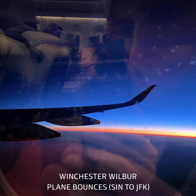 Plane bounces SIN to JFK cover art