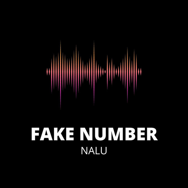 Fake Number - Single by Nalu | Spotify