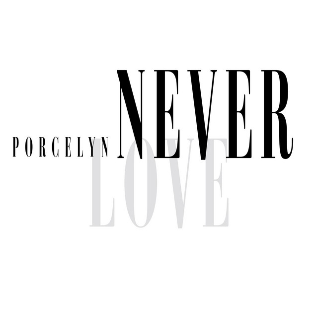 Never Love cover art