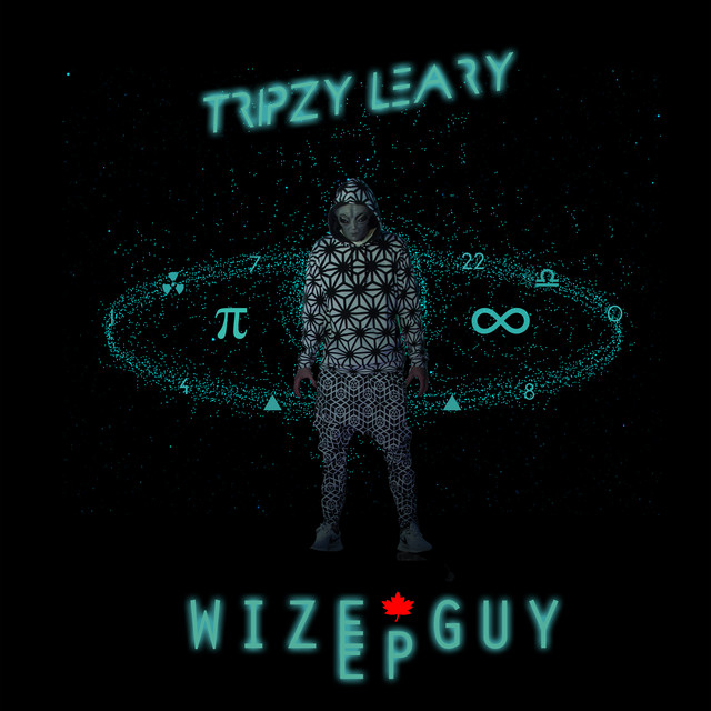 Wize Guy cover art