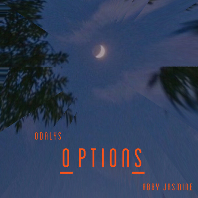 Options cover art