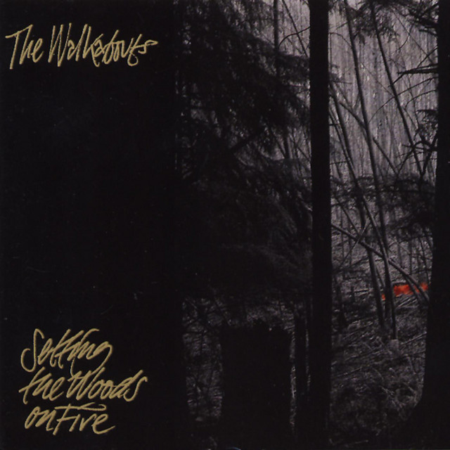 洋楽 The Walkabouts/Setting the Woods on Fire the 洋楽 on Walkabouts/Setting Woods Fire The