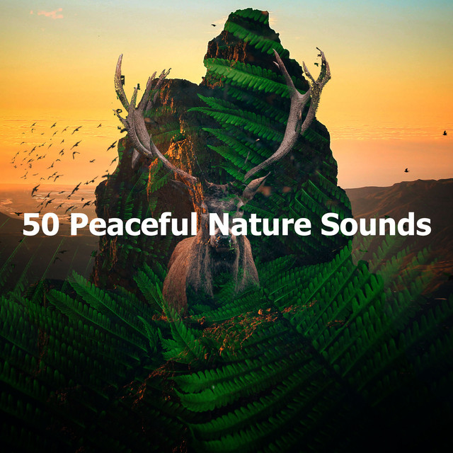 50 Peaceful Nature Sounds - Album by Kings of Nature | Spotify