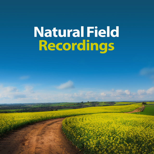 Natural Field Recordings - Album by The Field Recording Collective ...