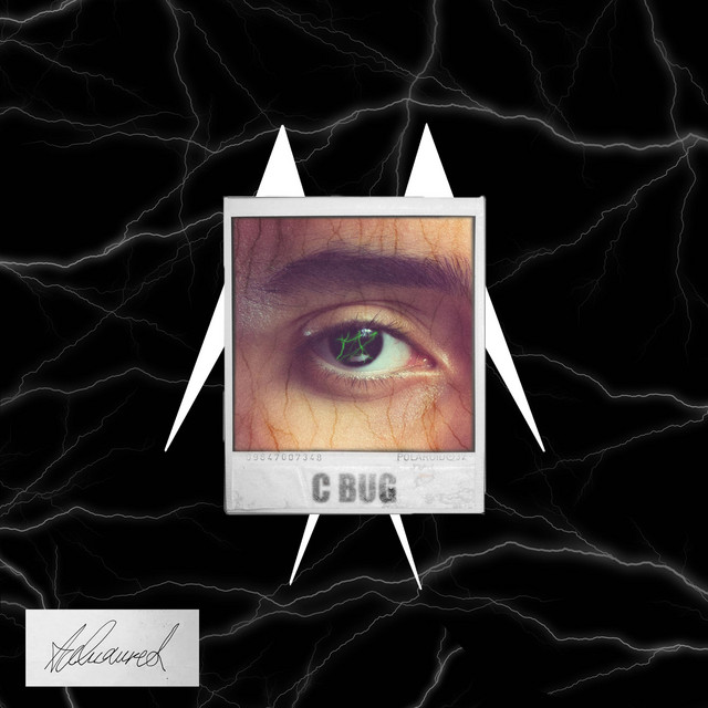 C Bug cover art