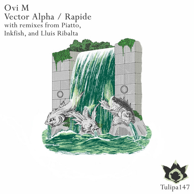 Vector Alpha - Piatto Remix cover art