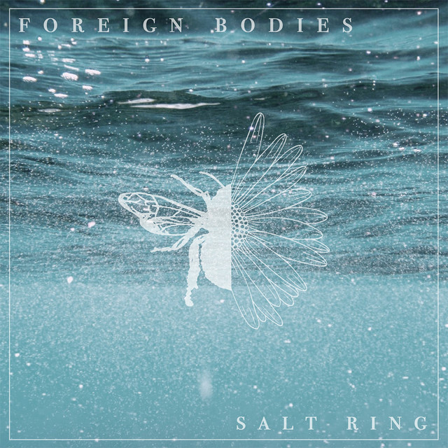 Salt Ring album image