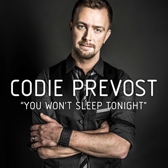 You Won't Sleep Tonight cover