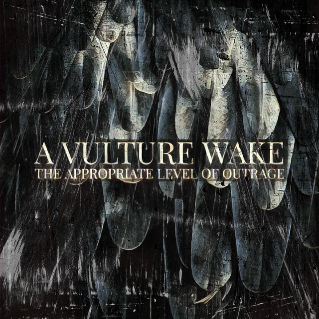 The Appropriate Level of Outrage cover art