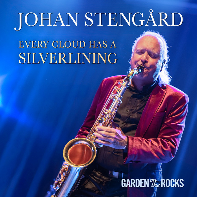 Every Cloud has a Silverlining cover art