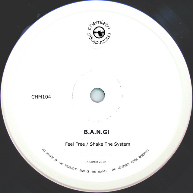 Feel Free / Shake the System cover art